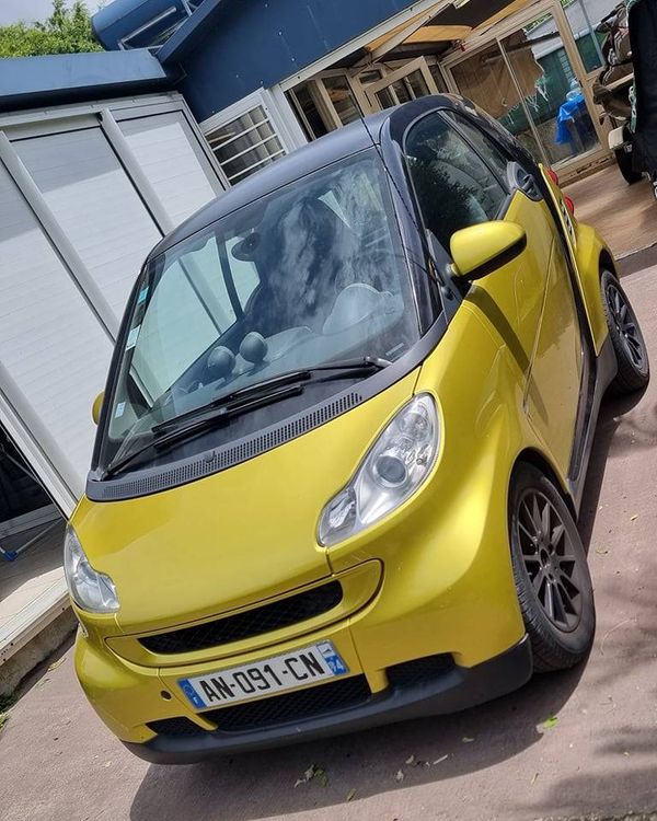 voiture occasion SMART FORTWO à la Réunion disponible sur noutlauto.re