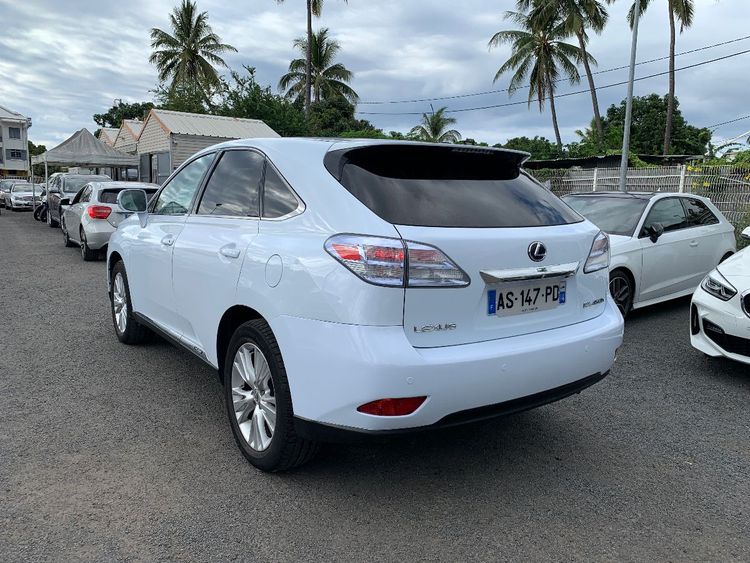 voiture occasion LEXUS RX à la Réunion disponible sur noutlauto.re